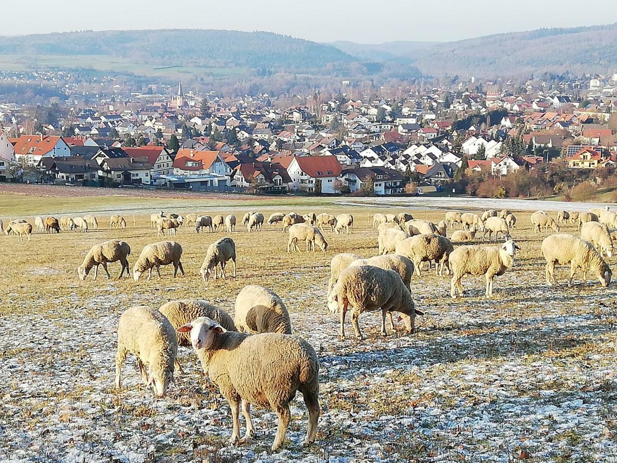Annettes Ferienwohnung Michelstadt Kültér fotó
